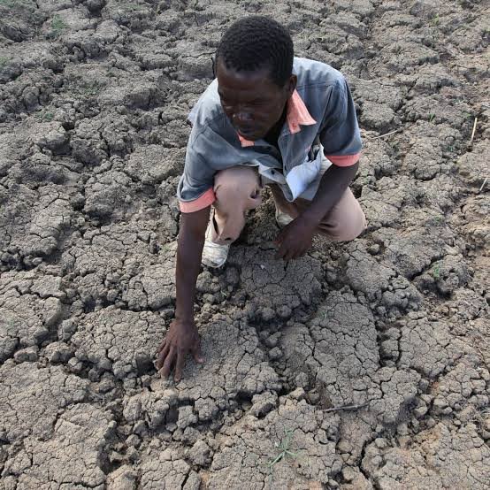 esaczim's tweet photo. When Climate Change hits hard.. Dry rivers and dams in Zimbabwe.. #climatechange #esaczim @wclimate @ClimateHuman @esaczim @green4EMA @EnvirForUPSC @ZimboGreen @Green_Europe @gayoghana https://t.co/qlvCV1jLiR