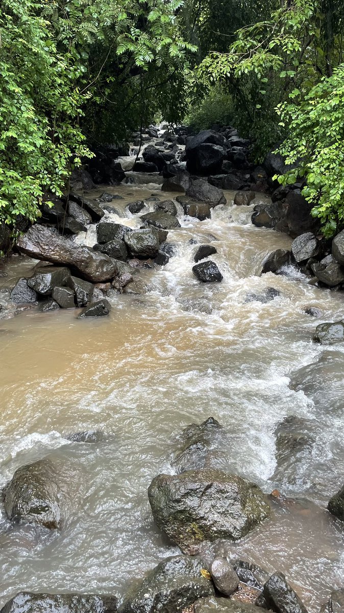 Alka_Dhupkar's tweet photo. Incredible #NaviMumbai
#Sunday #Exploringmycity
Please stop throwing plastic everywhere!
Unimaginable that such a beautiful place was found flooded with plastic waste. https://t.co/IkKrXYbGWC