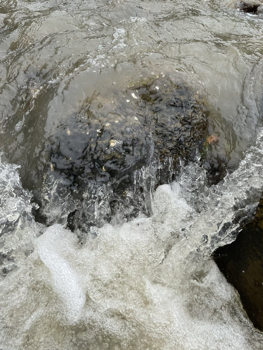 Alka_Dhupkar's tweet photo. Incredible #NaviMumbai
#Sunday #Exploringmycity
Please stop throwing plastic everywhere!
Unimaginable that such a beautiful place was found flooded with plastic waste. https://t.co/IkKrXYbGWC