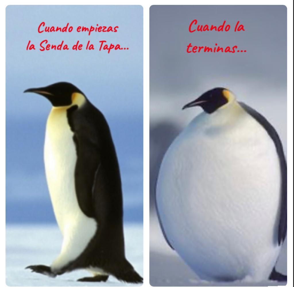 Todavía no has probado las tapas y los cócteles de la senda de la tapa y el cóctel?!!! A que esperas!!! 🎉🎉🍸🌮
