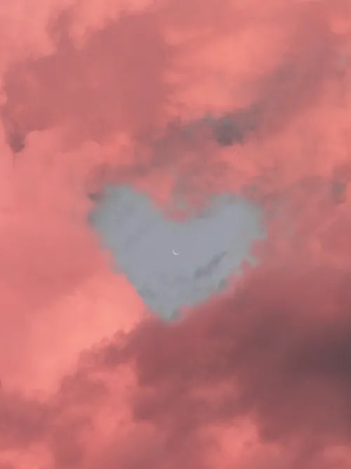 Lau 🎀 tweet media