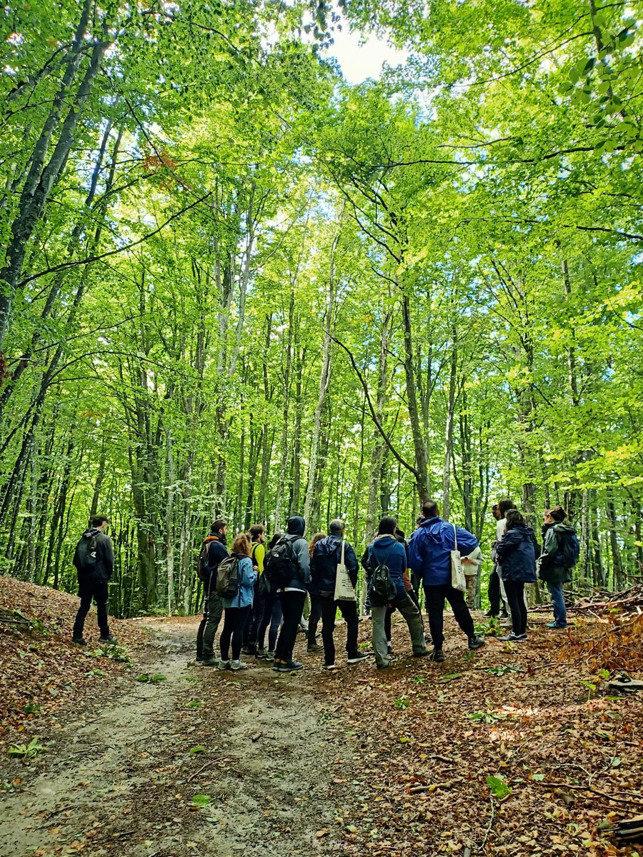 Da Monte Baducco, fino al lago Brasimone per parlare della Crisi energetica come terreno di scontro tra industria fossile e movimenti per la giustizia climatica e sociale, con Federico Scirchio. Qualche momento del trekking di ieri, qui sotto.