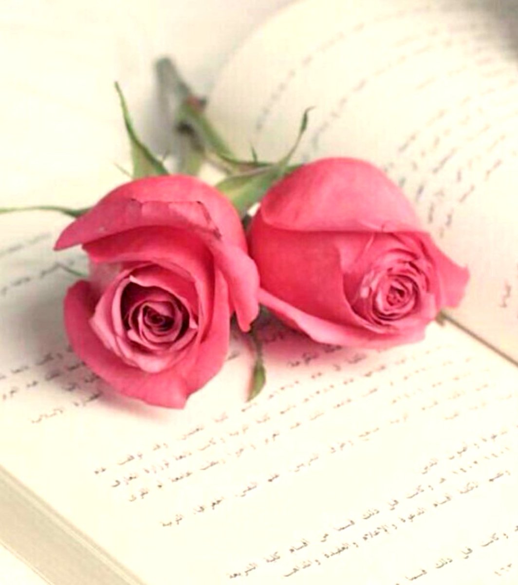 Meine Gebete sind heute bei allen kranken, einsamen, verlassenen und traurigen Menschen. 
Möge Gott immer seine schützenden Hände über euch allen halten und euren Seelen Frieden und Zuversicht  schenken. 
Das hellste Licht in euch, wird immer Gottes Licht sein. 🙏⚘🕊