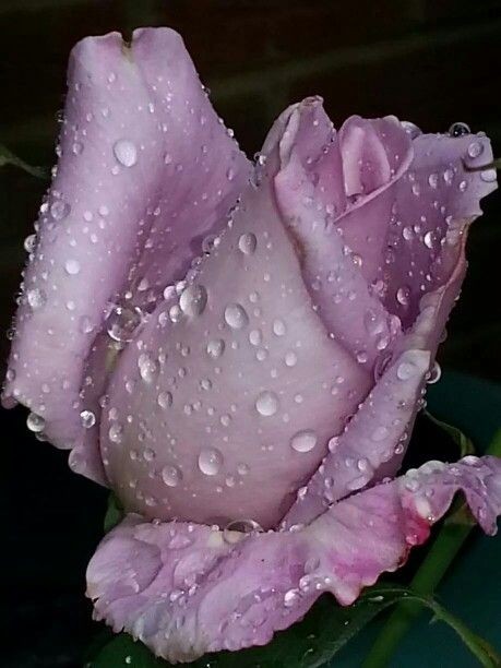 Valentina (@valenti66197491) on Twitter photo 