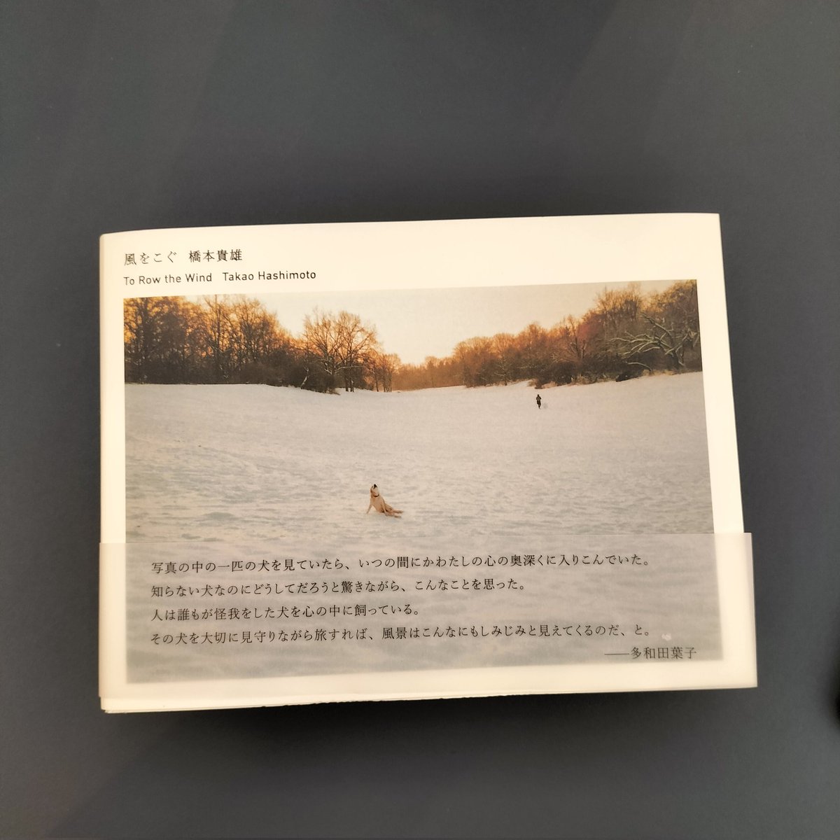 BooksMitsubachi's tweet photo. そして今日も「１冊売って５冊買うパターン」のみっつ🐝店長であった…

#PASAGE
#神保町 https://t.co/f1hTCel5kJ