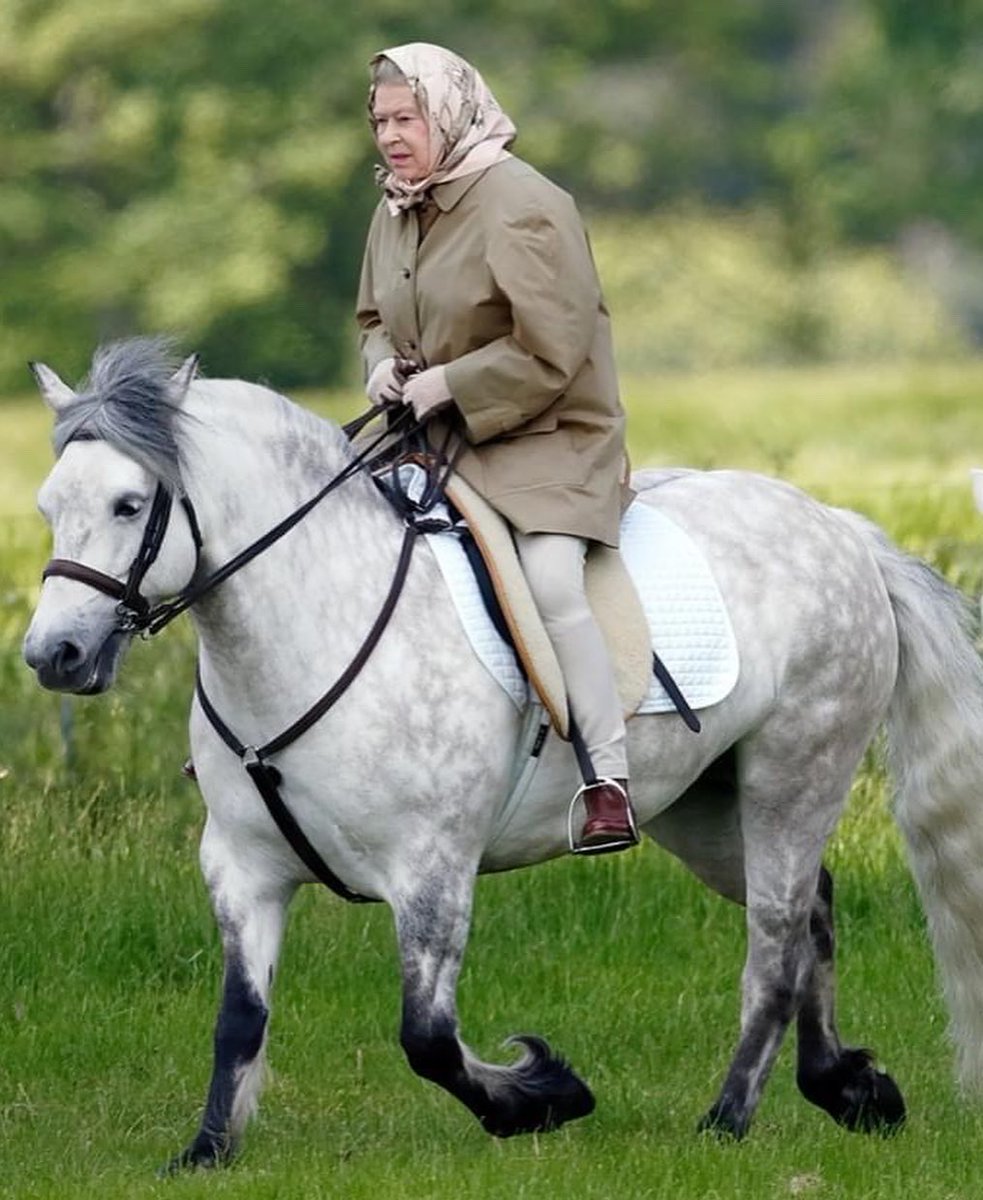 Just a girl and her horse…

Rest in Peace

decklededge.co.uk/product/happy-…

#queenelizabeth
#ourqueen
#girlandherhorse
#horse
#horselove
#thequeen