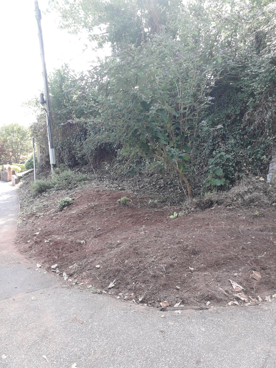 We're still active on our small public green spaces, tidying up and creating new environments, yesterday with the additional help of <a href="/Meanfluff/">Marina Asvachin</a> Marina Asvachin, one of our Exeter City Councillors #communitynetworks  #environmentmatters