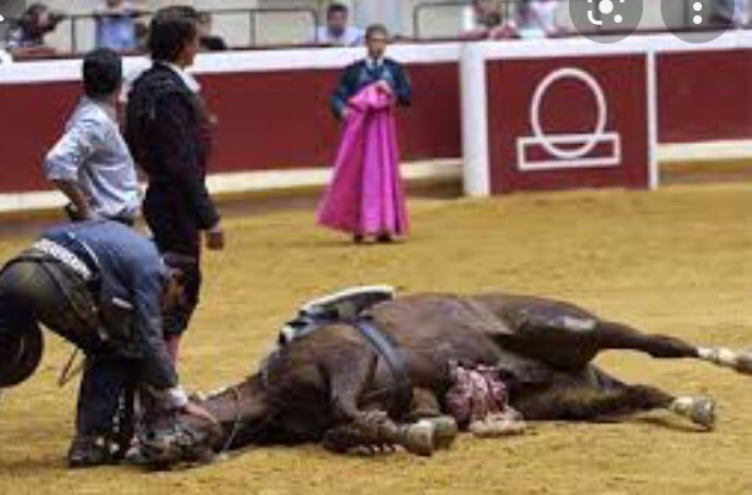 GuPrevel's tweet photo. Pouvons-nous vraiment être considérés comme humains en traitant ainsi les animaux ? 
Cette « humanité » qui se délecte de maltraitance, de sang, de violence, de torture en justifiant cela sous le parapluie hypocrite de la « tradition »doit être combattue sans relâche. 
#corrida https://t.co/Fhyv95BWhG