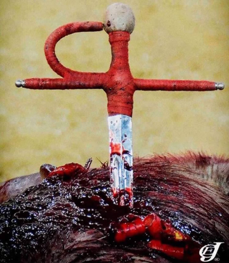 GuPrevel's tweet photo. Pouvons-nous vraiment être considérés comme humains en traitant ainsi les animaux ? 
Cette « humanité » qui se délecte de maltraitance, de sang, de violence, de torture en justifiant cela sous le parapluie hypocrite de la « tradition »doit être combattue sans relâche. 
#corrida https://t.co/Fhyv95BWhG