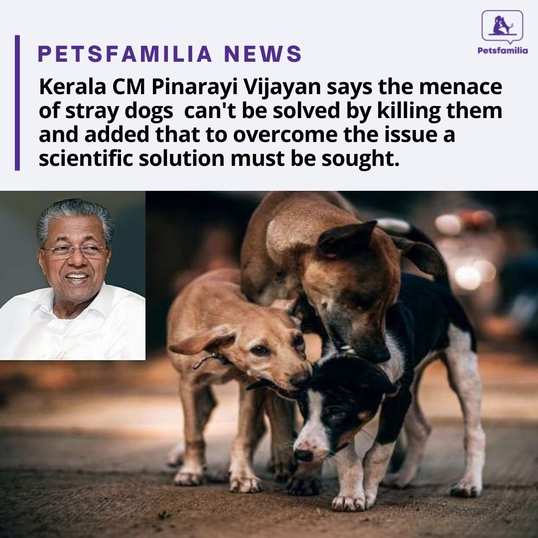 petsfamilia's tweet photo. Kerala Chief Minister Pinarayi Vijayan on Friday said that the menace of stray dogs cannot be solved by killing the dogs and added that to overcome the issue a scientific solution must be sought.
#Viral #ViralNews #Trending #TrendingNews #dogsoftwitter #DogsAreFamily https://t.co/hXSheMLOaI