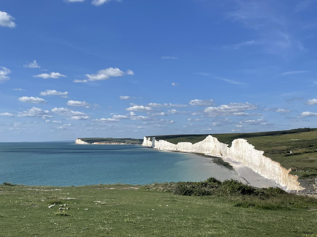 ชีวิตวัวดีกว่ากูมากกกกกกกกก