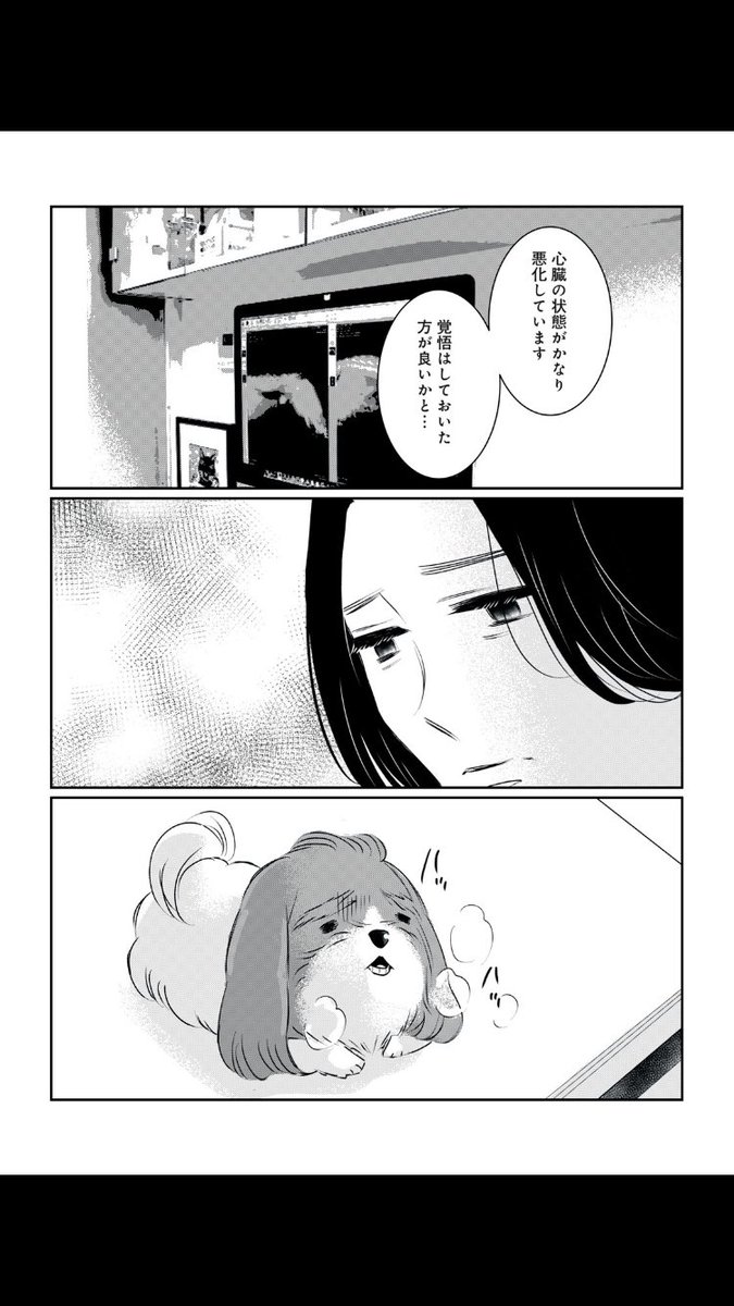 「老犬とわたし〜妹は74歳になりました〜」のボビー編後半とオマケが読めるようになりました🎫

#パルシィ #老犬とわたし #青色イリコ
https://t.co/4fSKg3HqPc 