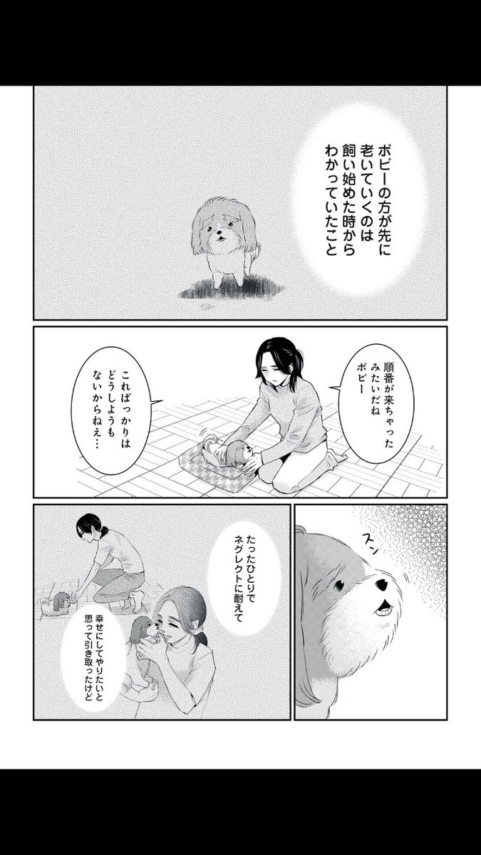 「老犬とわたし〜妹は74歳になりました〜」のボビー編後半とオマケが読めるようになりました🎫

#パルシィ #老犬とわたし #青色イリコ
https://t.co/4fSKg3HqPc 
