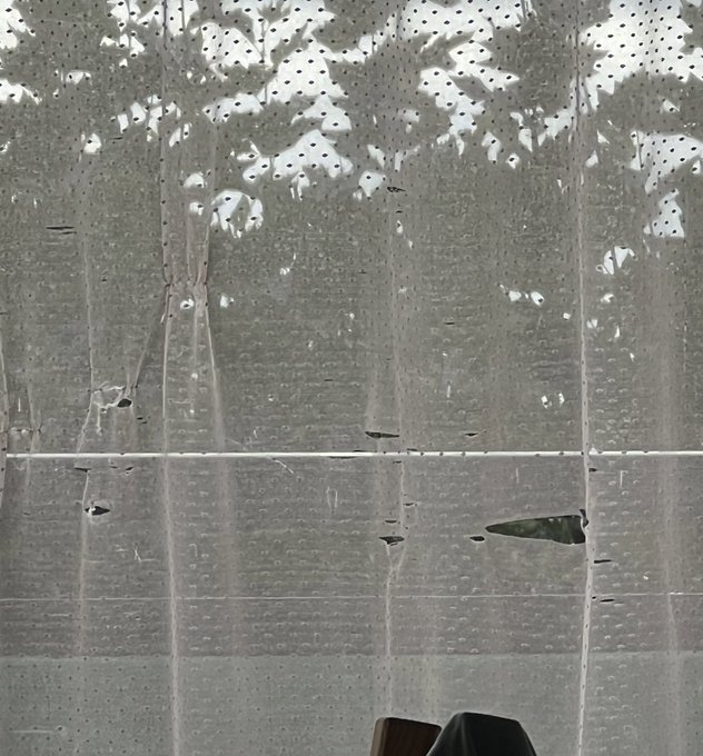 Does anyone have a golden tip for cat proof sheer curtains?   (And regular curtains too? I need thicker