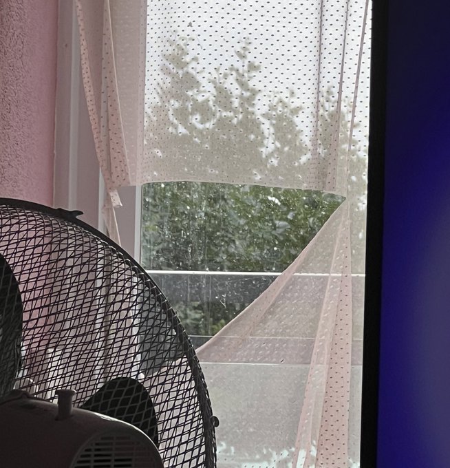 Does anyone have a golden tip for cat proof sheer curtains?   (And regular curtains too? I need thicker