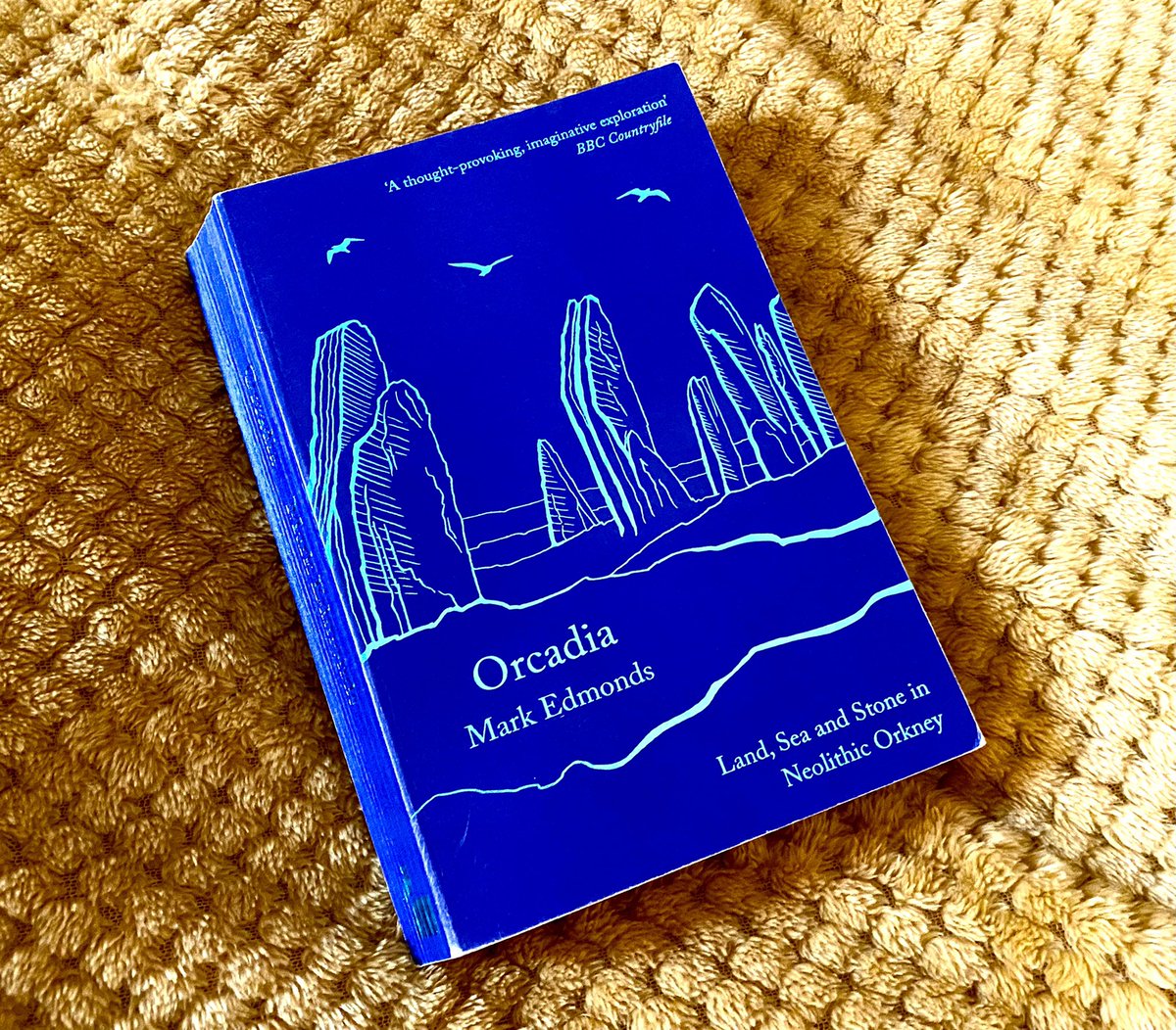 RealifersRoss's tweet photo. Can heartily recommend #Orcadia by #MarkEdmonds -A wise and readable overview of Neolithic Orkney with generous notes that are a robust collected resource for the enthusiastic amateur like me (inc. references to further insights by @assemblagiste #AntoniaThomas and many others ๐ฅ https://t.co/ErsLxFCqPQ