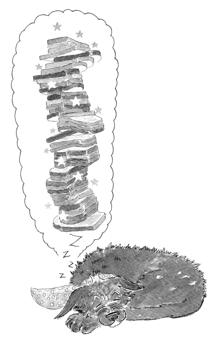 BadgerMutt's tweet photo. Sunday snoozing.
Dreaming of higgledy-piggledy towers of toast and my favourite spell...
"Buttercups and sun scorched grass,
Do for me this easy task.
Take this bread and make it roast.
Turn it into buttered toast."

It doesn't always work, but I keep practicing! 
#kidlit #books https://t.co/zCIH1Xne0V