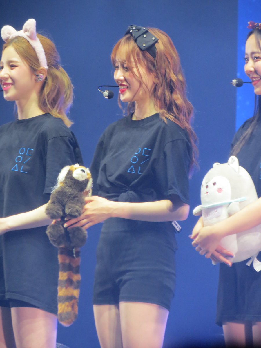 gowonn's tweet photo. More gowon #LOONAinLondon https://t.co/ghNCI4vS0p
