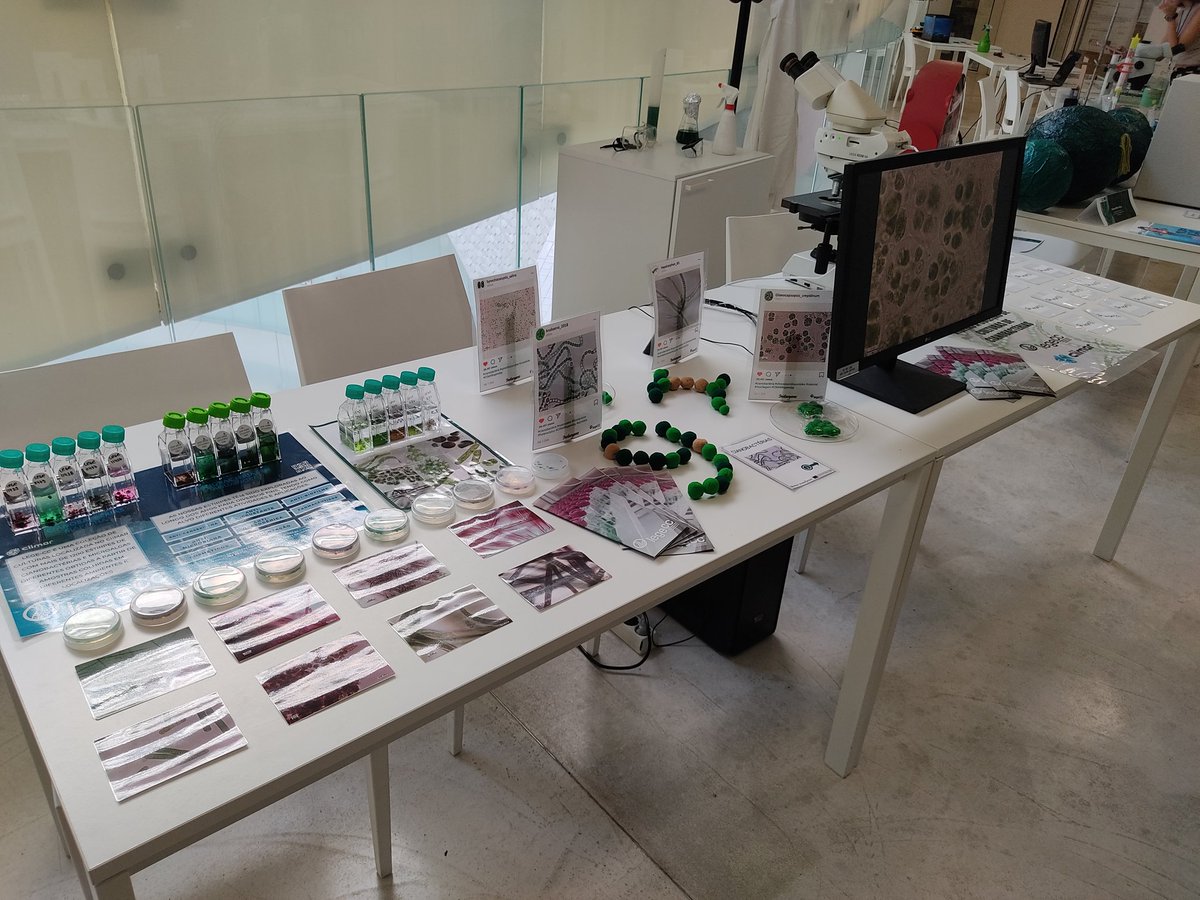 LEGECC's tweet photo. We are ready for #CIIMAROpenday! Come and visit us! 🦠
#CIIMARevents #CIIMARscicomm #openday #openday2022 #LEGECC https://t.co/C2CKEWuxqG