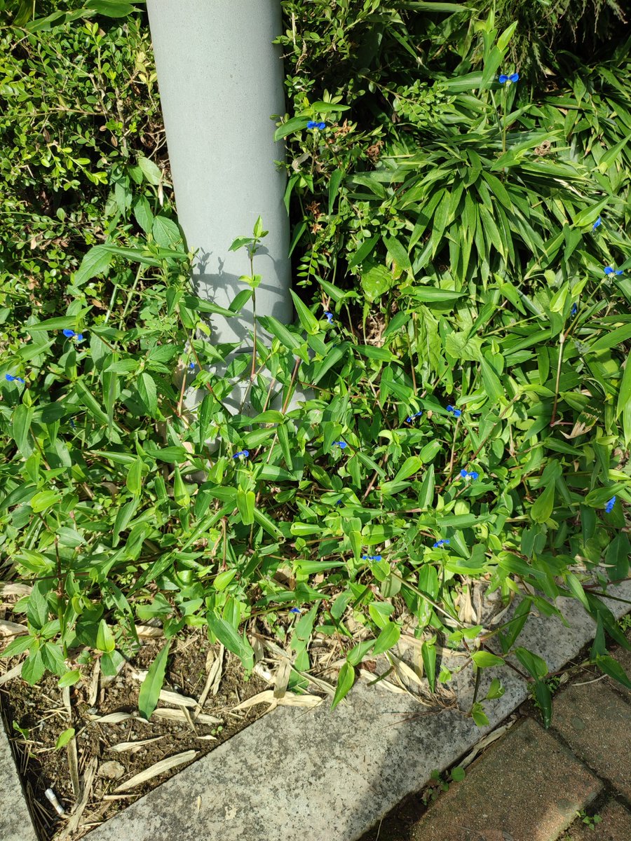 인생학교 tweet media