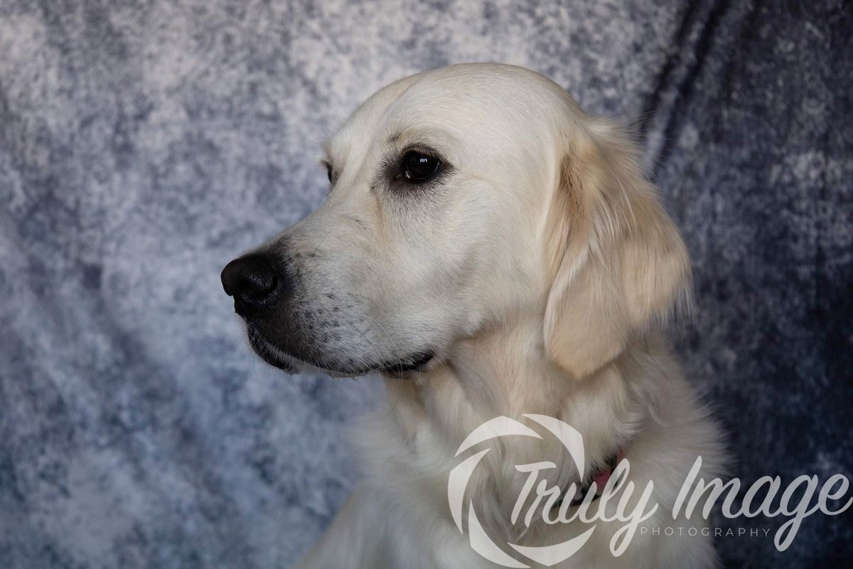 TrulyImage's tweet image. Here is Summer she was such a sweetie 🥰