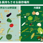 知らなかった!野菜＝『野菜室』ではない!『野菜室に入れるべき野菜』と『冷蔵室に入れるべき野菜』