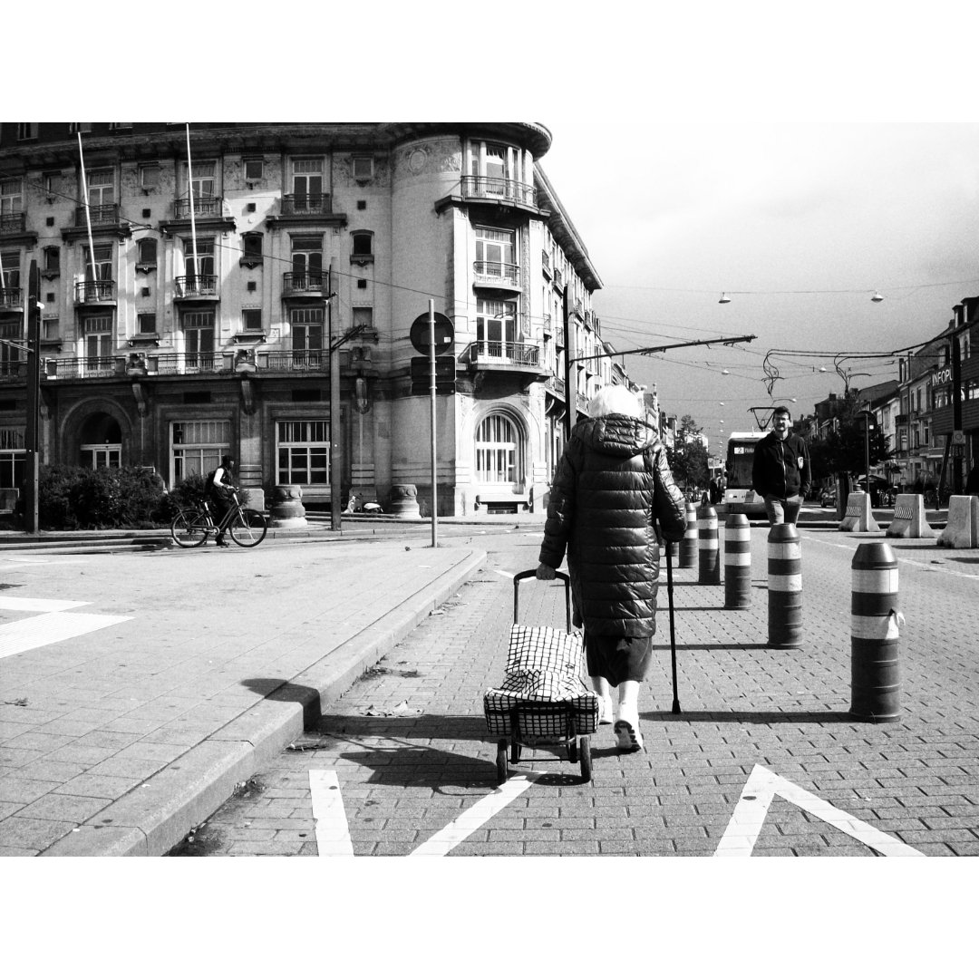 93DWTW's tweet photo. 📸 ƈɨȶʏ ʋɨ63ֆ © panthera, Ghent

#93DWTW #iggent #gent #ghent #ghentbelgium #ghentcity #gentstpieters #gentstpietersstation #belgium #streetphotography #blackandwhitephotography #bnw_and_noir #bnwp_2022 #lightsandshadow #bnw_zone #bw_perfect #fair_noir 
https://t.co/Lu3HsyUkih https://t.co/X5LyNlms5Z
