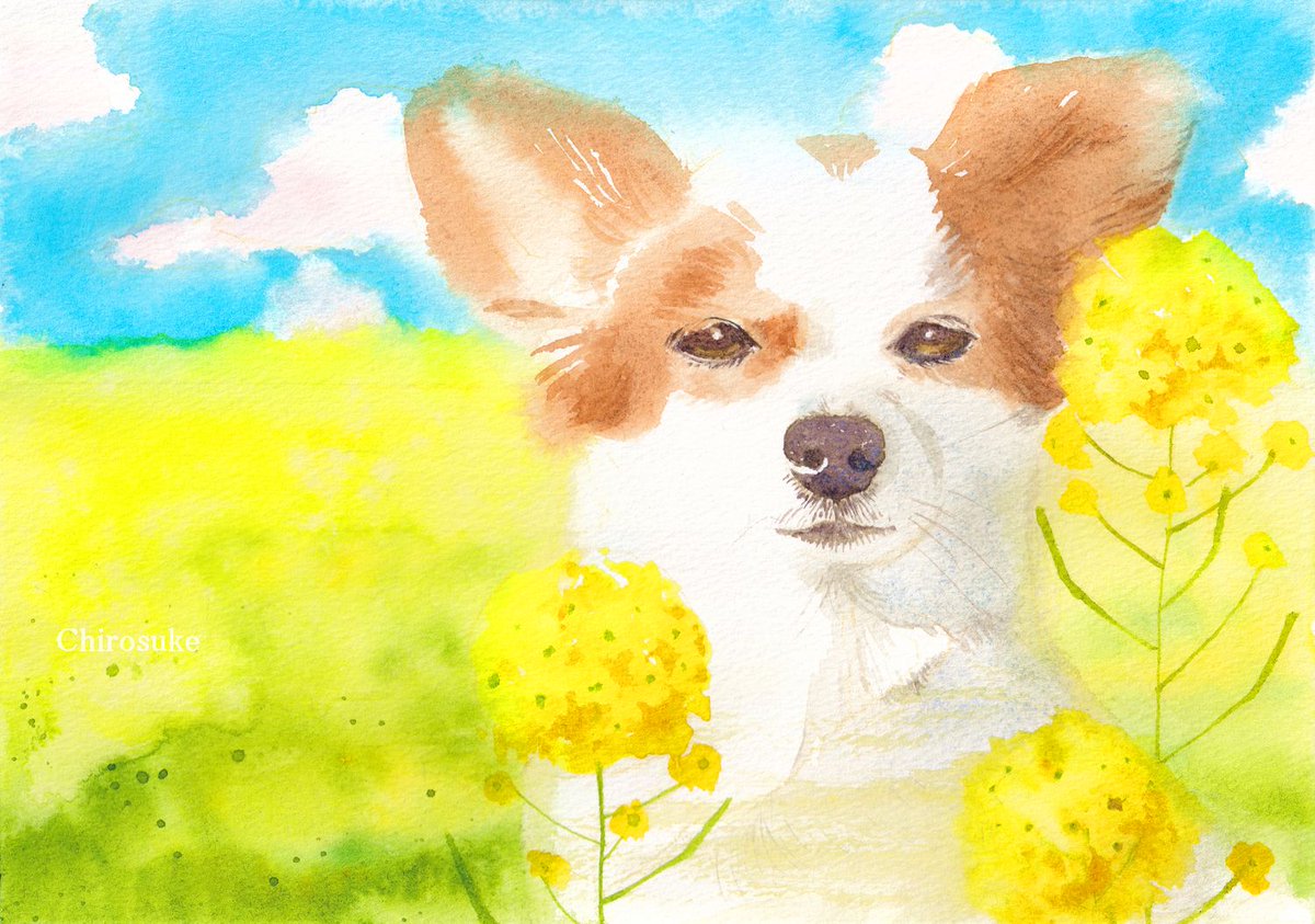 「#Twitter文化祭2022 愛犬の絵を描いています 」|ちろ助のイラスト