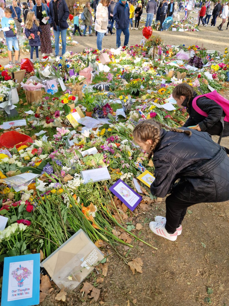 DanielleMoore85's tweet photo. Flowers and cards duly delivered. Fantastic experience and atmosphere in Green Park. Next stop Buckingham Palace! @SkirkShooters @ShootersGrove @Andrewosborne32 https://t.co/uvdTeoypEk