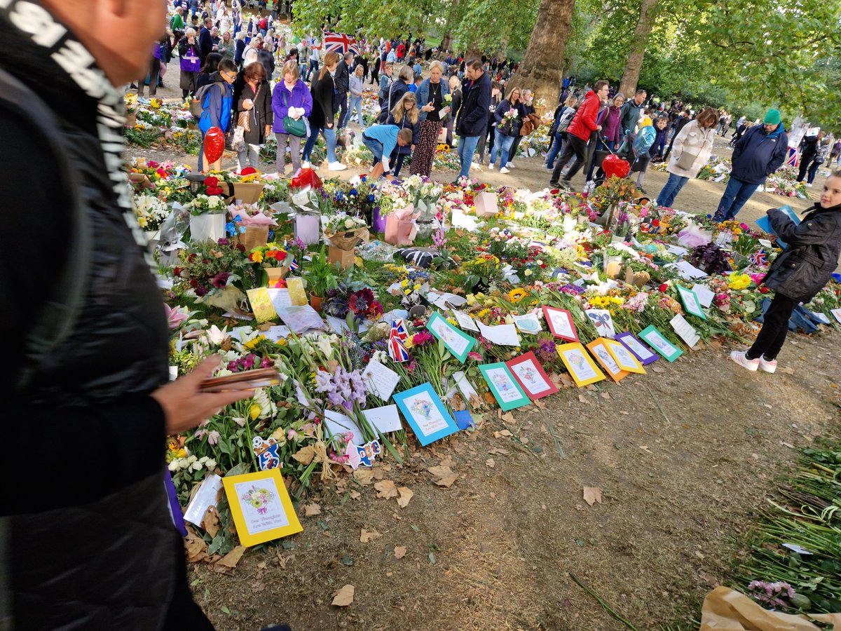 DanielleMoore85's tweet photo. Flowers and cards duly delivered. Fantastic experience and atmosphere in Green Park. Next stop Buckingham Palace! @SkirkShooters @ShootersGrove @Andrewosborne32 https://t.co/uvdTeoypEk
