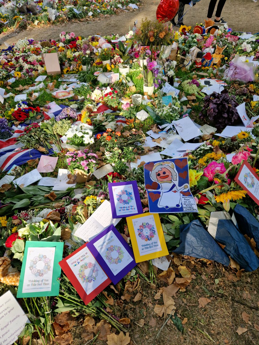 DanielleMoore85's tweet photo. Flowers and cards duly delivered. Fantastic experience and atmosphere in Green Park. Next stop Buckingham Palace! @SkirkShooters @ShootersGrove @Andrewosborne32 https://t.co/uvdTeoypEk