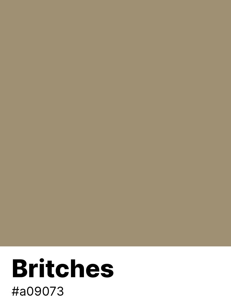 color_parrot's tweet photo. #Britches #a09073 https://t.co/kG3crDsGXq https://t.co/TnPwVTZZgA