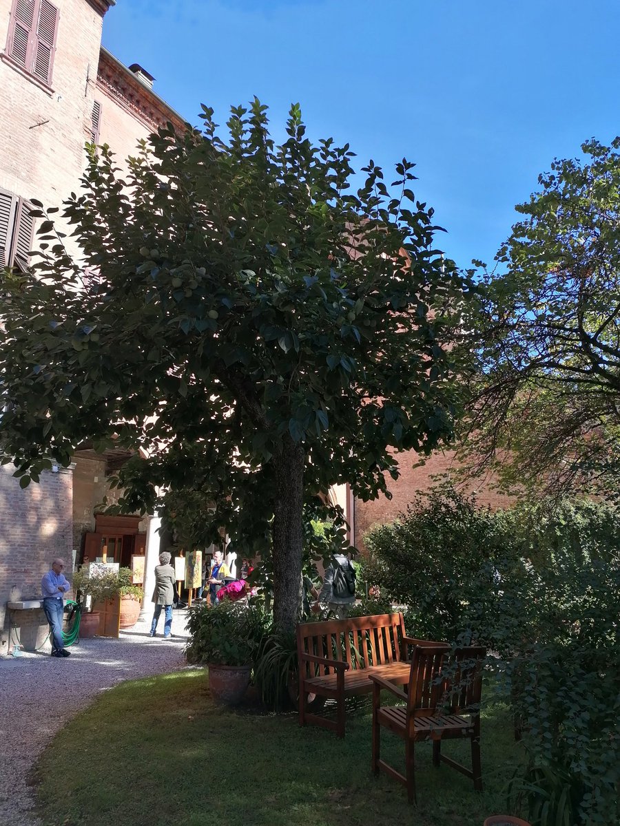 ellexwoman's tweet photo. #InternoVerde a #Ferrara
Palazzo Scroffa https://t.co/ydC9FRFzay