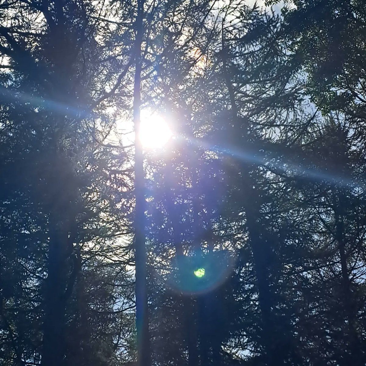 diannedutton's tweet photo. The sun absolutely amazes me, equally as does the moon. Beautiful picture from yesterday 😍 https://t.co/HGP5D9Ddgo