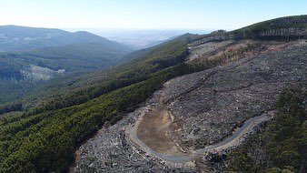 sarahrees's tweet photo. Fined for going off track, and yet this activity is ok 🤷🏼♀️? I’m all for good park laws but c’mon how about some rationality #loggingnativeforests https://t.co/HVfJtpZ1WI