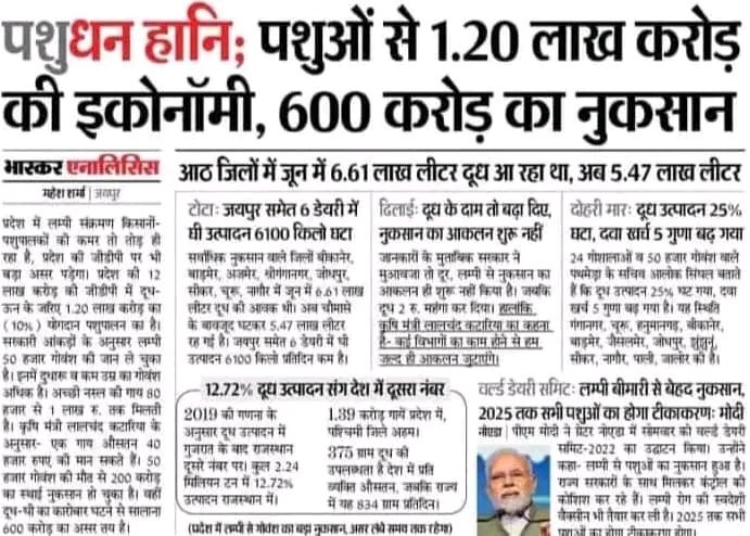 SangeetRathour's tweet photo. लम्पी बीमारी से ग्रसित पशुओं पर ध्यान न दिया तो पशु विलुप्त हो जायेंगे, पशुओं को विदेशों से मंगाया जायेगा और दूध के लिए विदेशों पर निर्भर रहेगा। 
आत्मनिर्भर भारत
@pmoindia @myogiadityanath @Bhupendrapbjp @mlkhattar @ashokgehlot51 @BhagwantMann @drsanjeevbalyan @PRupala https://t.co/BJ1fW1WhZd