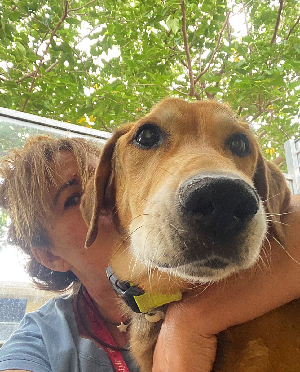 CaldesAnimal's tweet photo. Un año más, he pasado mis vacaciones en la Prote. La felicidad que he sentido junto a vosotros, no tiene precio.Gracias por vuestra compañía, en especial la tuya, DOC ❤️Va a ser muy duro no verte a diario, pero te llevo en el alma, lo sabes, verdad? 
T'estimo, gordo 😘 https://t.co/SlkBcJm2pA