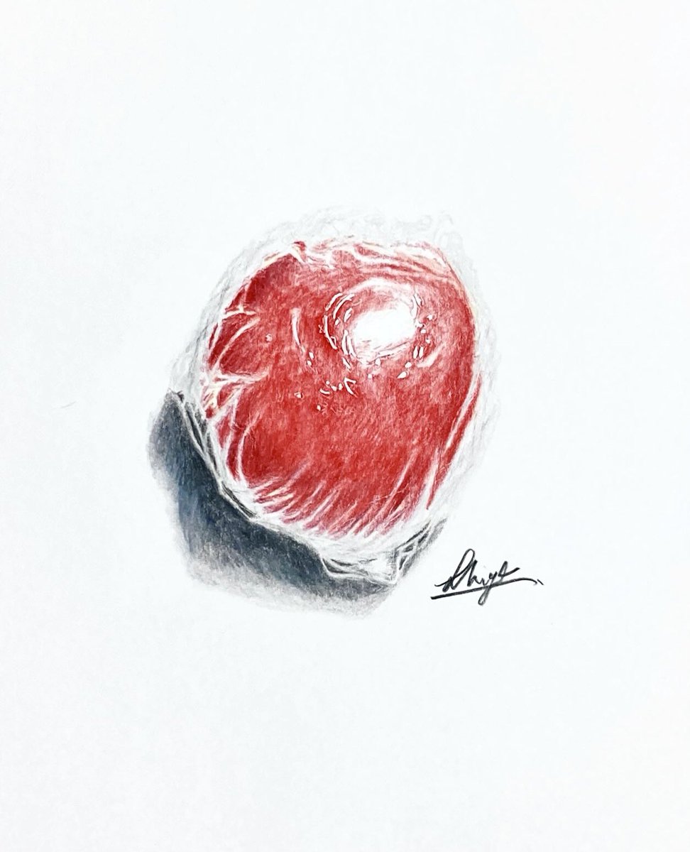 「色鉛筆で描いたラップで包んだ林檎 」|石川@色鉛筆のイラスト