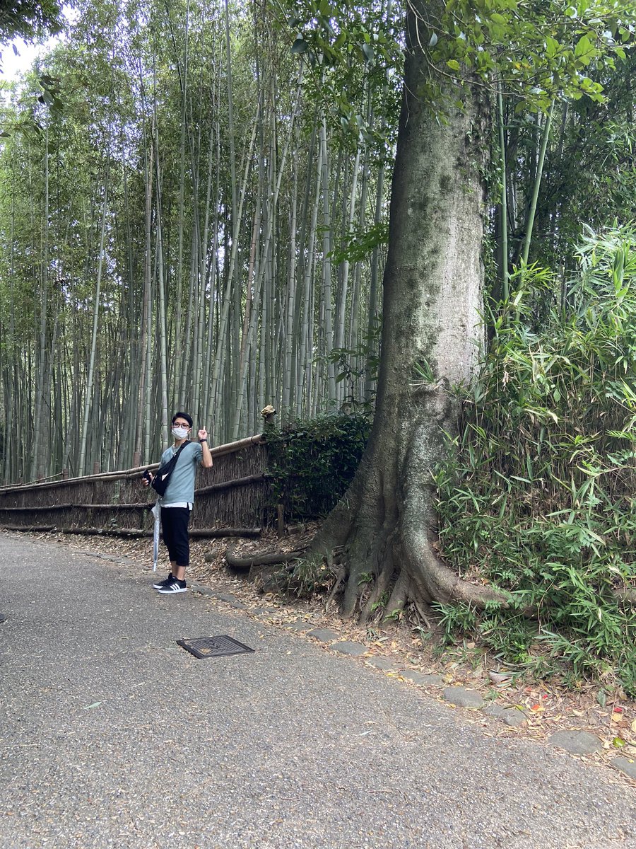 GlUr3a's tweet photo. in 京都 https://t.co/RSVJYn0nQ2
