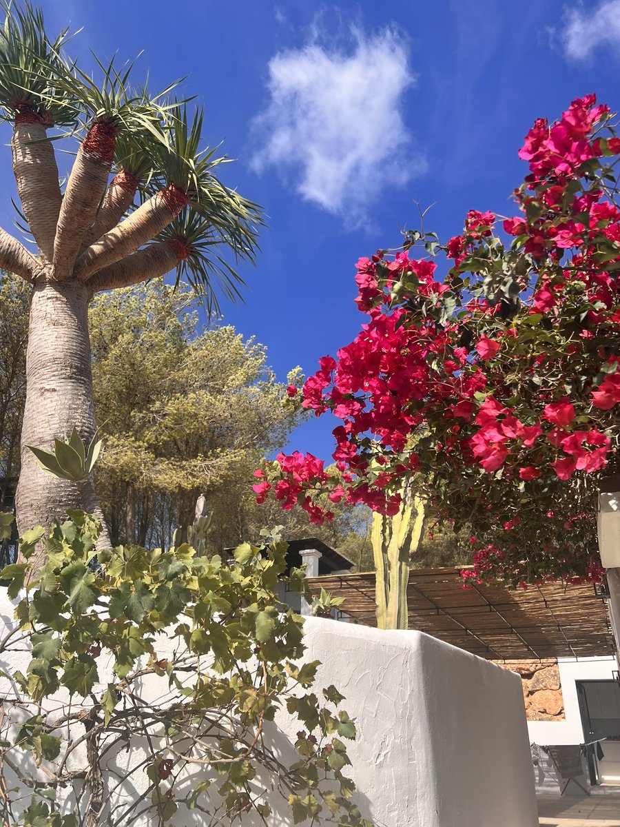 Jessica LemariéPires (@jlemariepires) on Twitter photo 