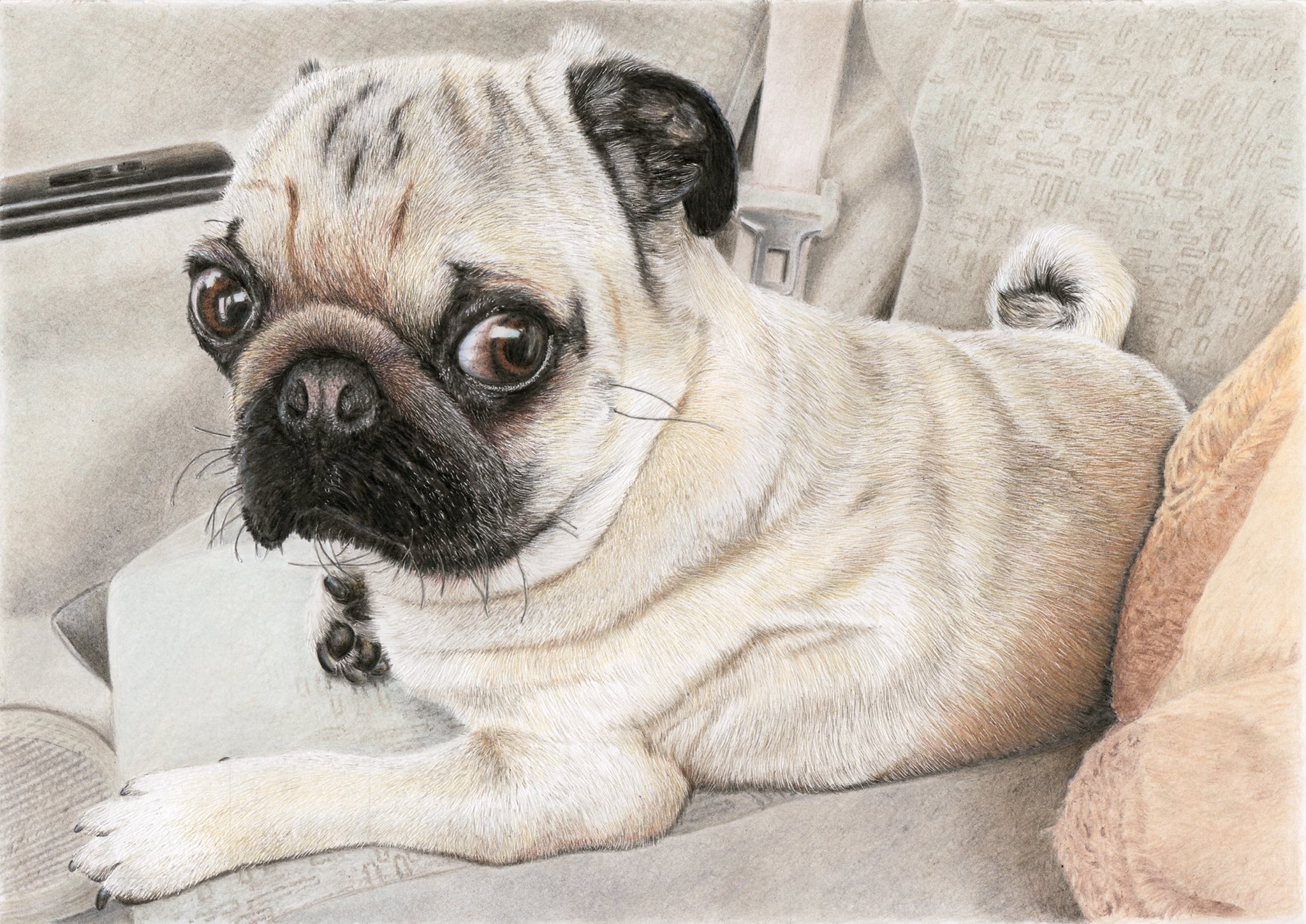 出産祝いなども豊富 パグの鼻 鉛筆画 絵画 タペストリ 7123円blog Grupostudio Com Br