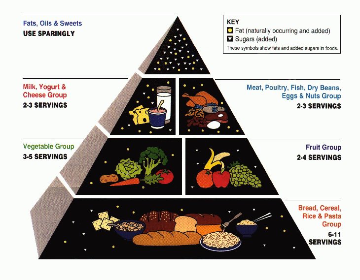 bfcarlson's tweet photo. A trip down memory lane. 

1992: USDA “food pyramid” debuted. Recommended 6-11 servings of bread, cereal, &amp; pasta per day. 

Schools promoted it. I remember coloring worksheets. 

Today: 42% of American adults are obese. /2 https://t.co/jXzkDSU7E4