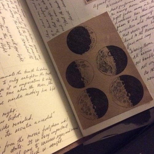 небольшой тред: что ваш кин в эре мародеров говорит о вас✨️