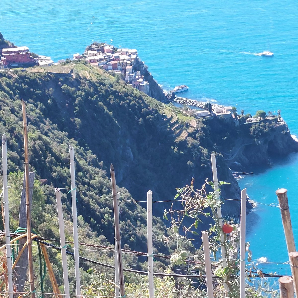 #Manarola #CinqueTerre #Liguria #Italy #18September #environnement