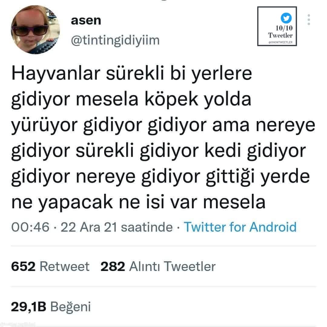 Bagimsiztaraf's tweet photo. https://t.co/ER4YlsxMoj