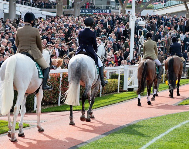 Don’t miss the RoR parade today <a href="/BlenheimHorse/">Blenheim Palace International Horse Trials</a> in the main arena at 1.30pm

The parade features familiar names who have adapted to new careers post racing, incl <a href="/CheltenhamRaces/">CheltenhamRacecourse</a> Gold Cup winner Coneygree, Zarkandar, Un Temps Pour Tout, Call The Cops &amp; Group 1 winner Side Glance.