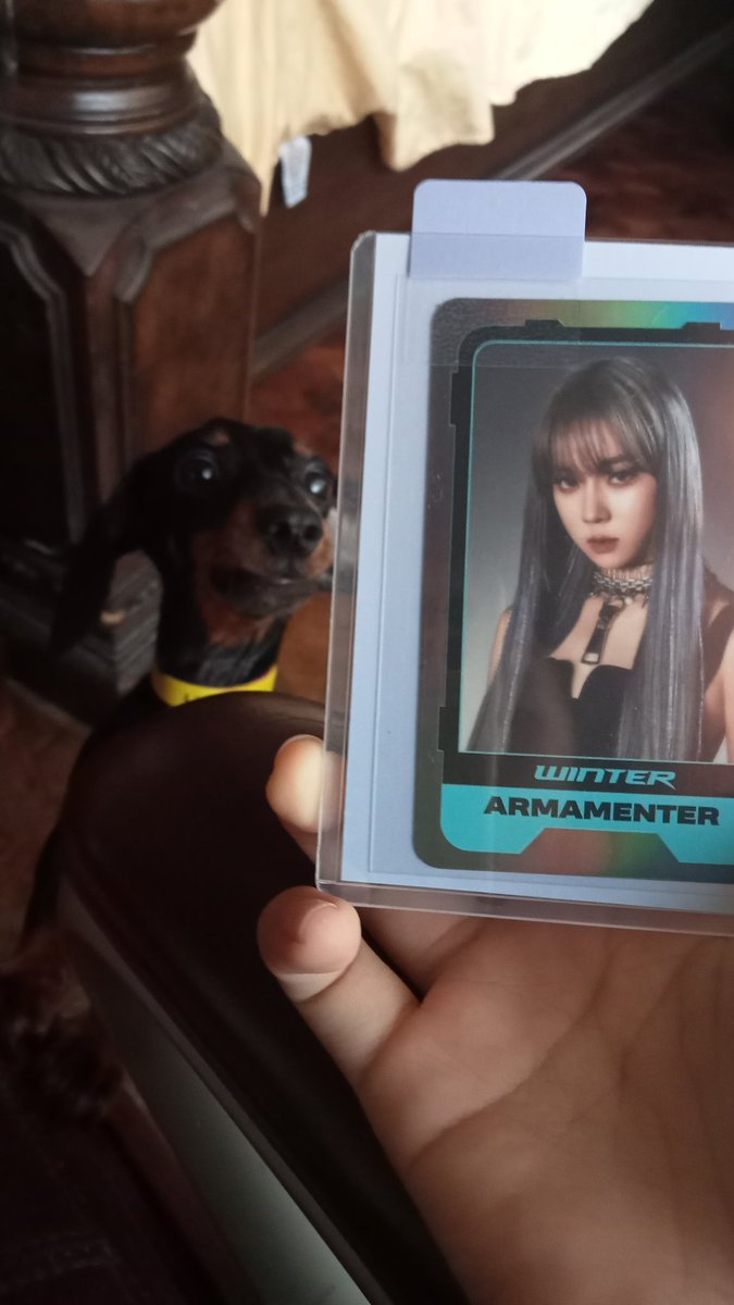 wntrgnkr's tweet photo. #fromwntr 
winter cc arrived safely and fast! thank you so much po super cute  and secured yung packaging <3
till our next transaction!! @wntrmails https://t.co/EY3AwQVtMA