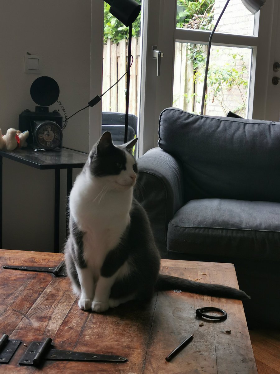 Ja ja, ik weet het. Het regent. Maar je kan best die kraan even uitzetten