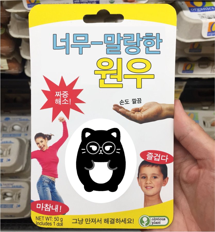 전,냥이입니다만? tweet media