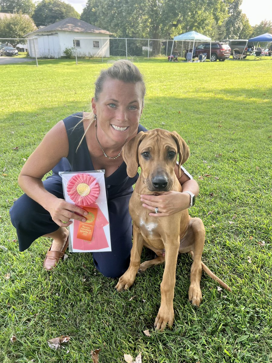 Never stop learning….Oden made his debut in the ring yesterday winning BOB and Group (Hounds). It was a great start in the dog show world!